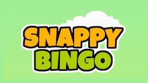 Snappy Bingo