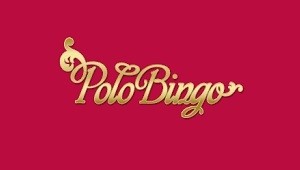 Polo Bingo